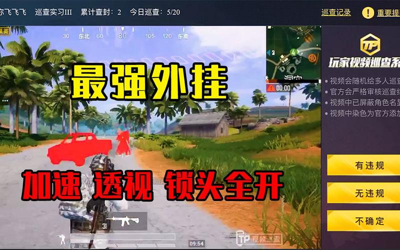 和平精英「小提琴」直装辅助
